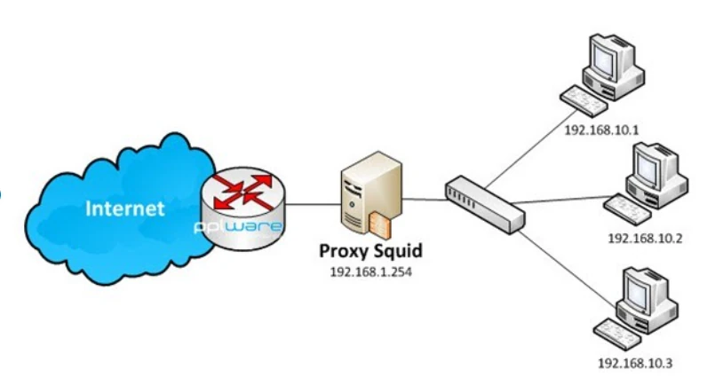 Схема Proxy Squid