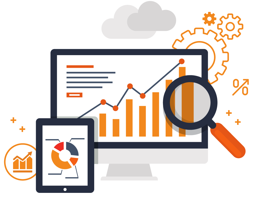 Web analyst