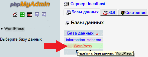 Панель управления phpMyAdmin с базой данных сайта на WordPress