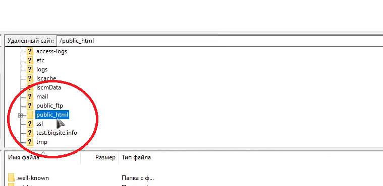 Расположение директории public_html