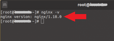 Команда nginx с флагом -v