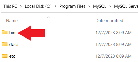 Папка bin MySQL