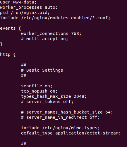 Содержание конфигурационного файла nginx