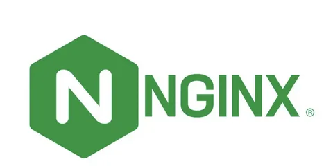 Лого Nginx