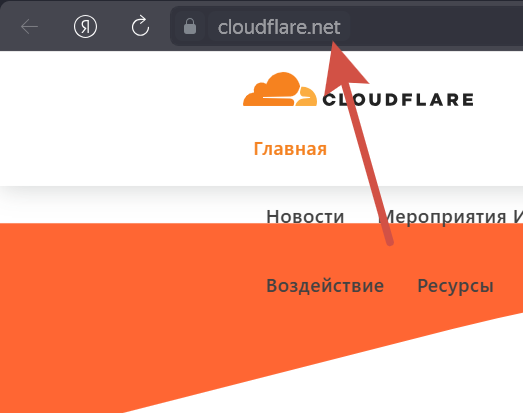 Доменная зона .net